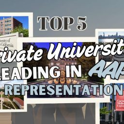 Top 5 Private Universities in Asian American Representation