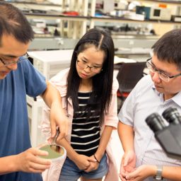 Shimeng Yu Pioneers the Future of AI Hardware