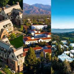 5 Great Asian American Small Colleges