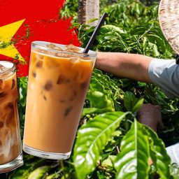 Vietnamese Coffee Explained
