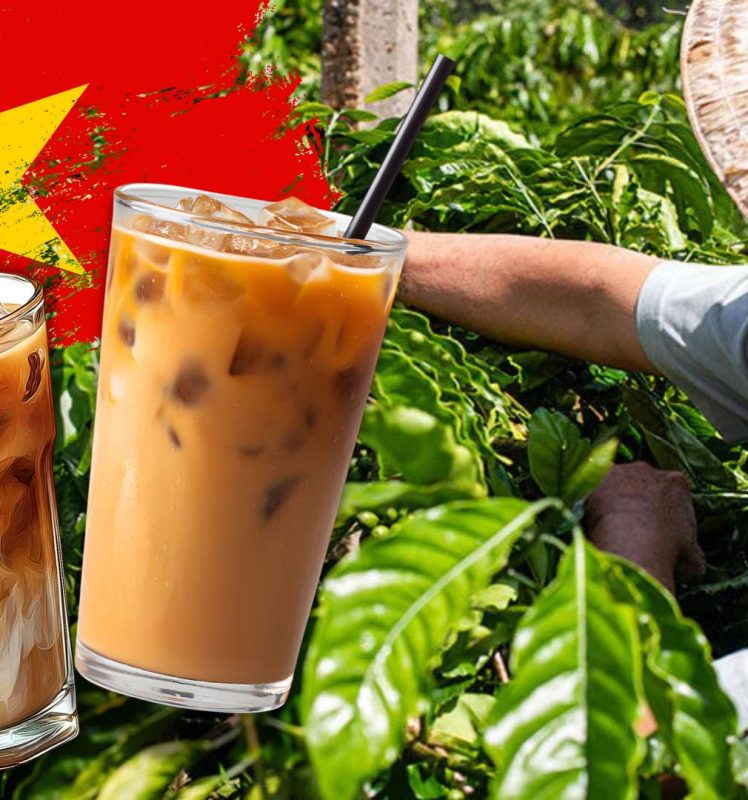 Vietnamese Coffee Explained