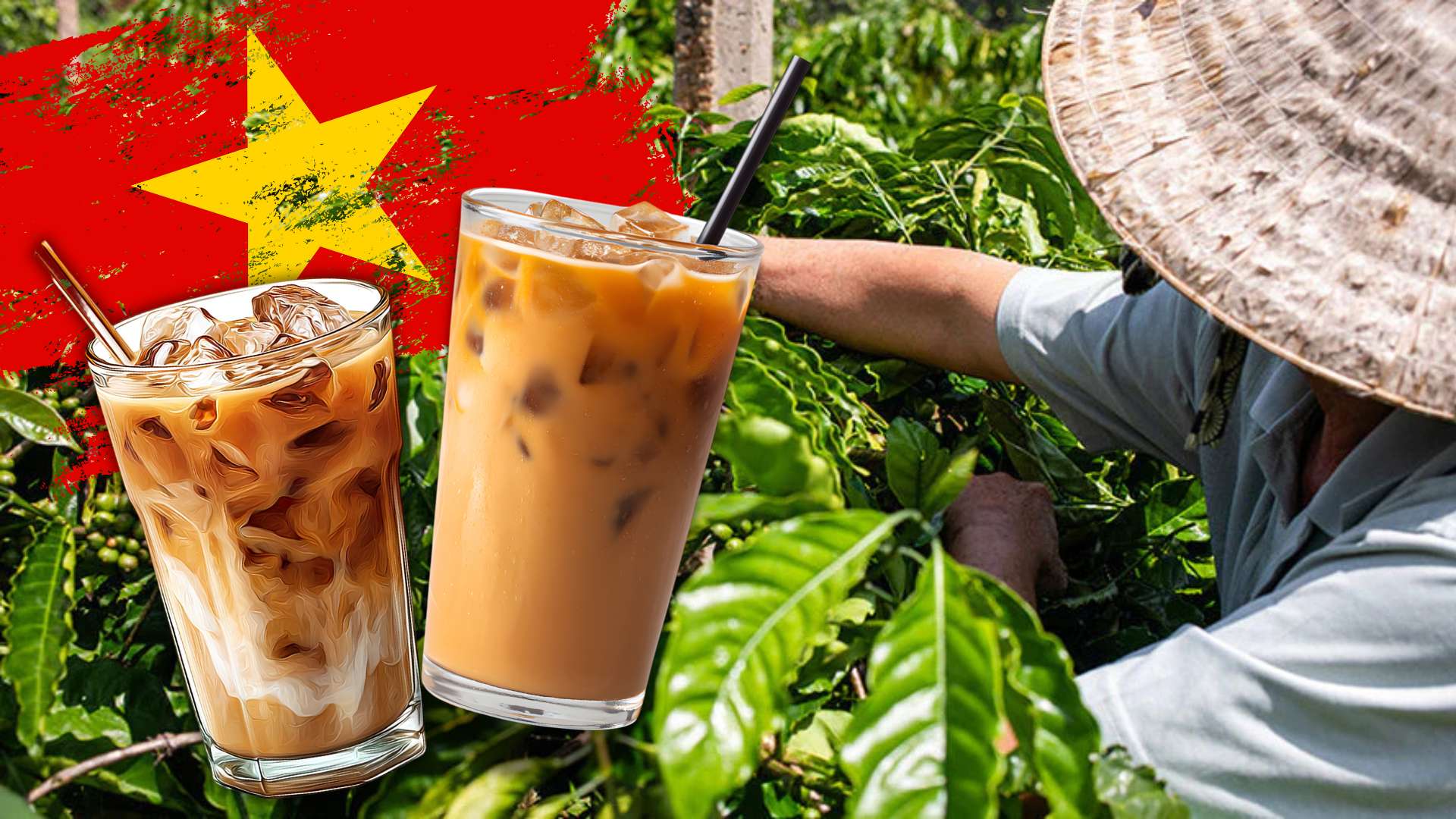 Vietnamese Coffee Explained