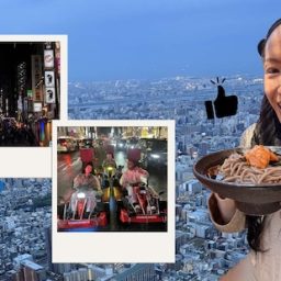 What I Loved Doing in Japan